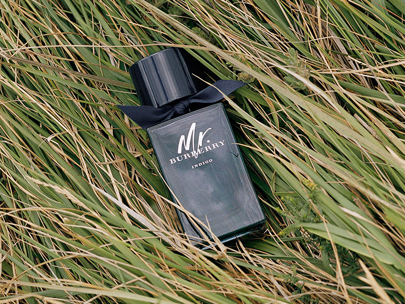 اكتشفه معنا: MR. BURBERRY INDIGO EAU DE TOILETTE ... عطر يحاكي الهواء العليل البريطاني